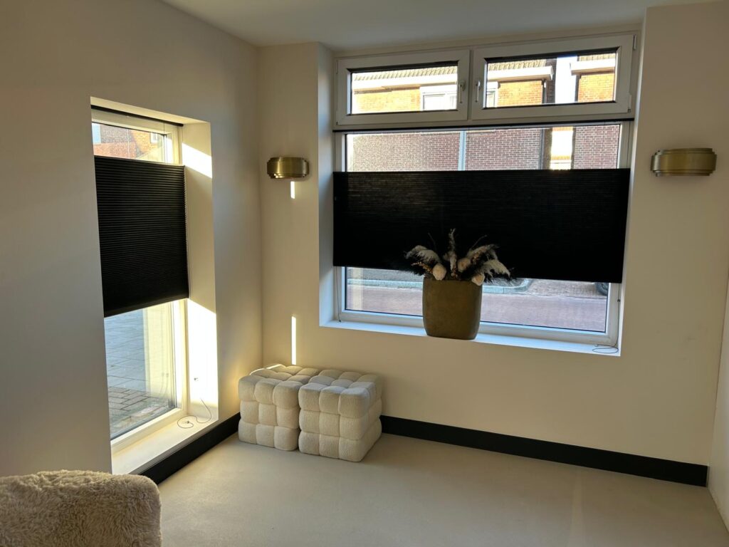 Plissé/Honeycomb Gordijnen voorbeeld 2