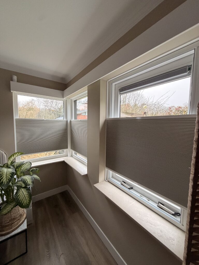 Plissé/Honeycomb Gordijnen voorbeeld 3