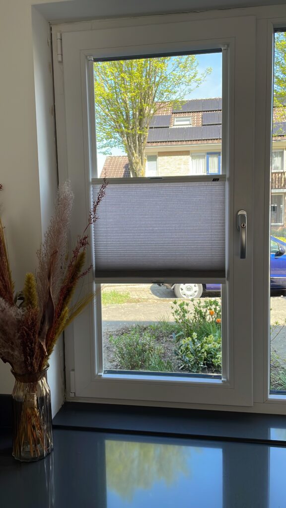 Duo plisse gordijnen